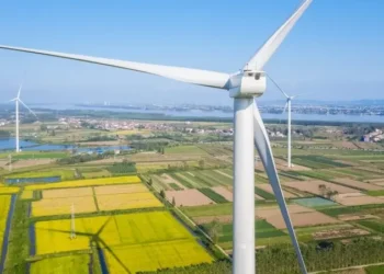 الحياد الكربوني