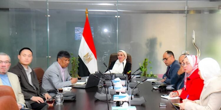 وزيرة البيئة تناقش مع إحدى الشركات الصينية توطين تكنولوجيا زراعة الغابات في مصر