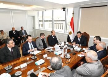 وزير الإسكان: نعمل على توفير وتلبية مختلف احتياجات المصريين بالخارج