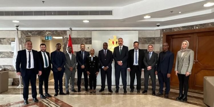 وفد تنزانى يزور البنك المركزي المصري للتعرف على تجربته في مجال الأمن السيبراني