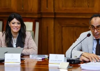 المشاط : إعداد خطة التنمية الاقتصادية والاجتماعية كل 3 سنوات بدءًا من العام المالي 2027/2026