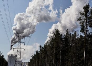 الولايات المتحدة