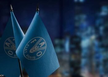 الفاو: استقرار أسعار الغذاء العالمية في مارس