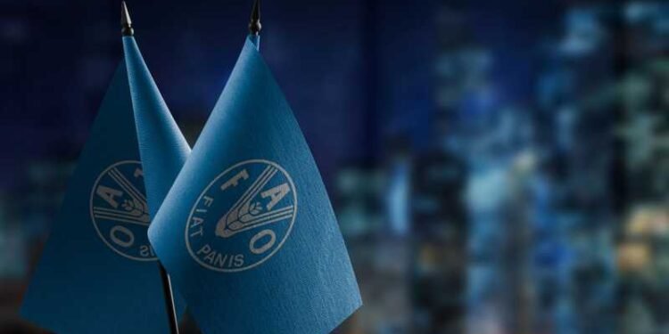 الفاو: استقرار أسعار الغذاء العالمية في مارس