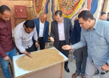 التموين: افتتاح موسم توريد القمح المحلي لعام 2025 بمحافظة الفيوم