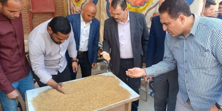 التموين: افتتاح موسم توريد القمح المحلي لعام 2025 بمحافظة الفيوم