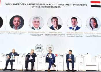 مصر تسعى لتكون مركزًا إقليميًا لتصدير الوقود الأخضر