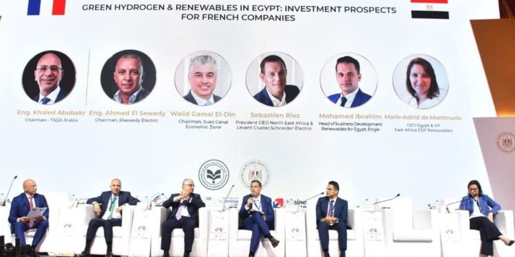 مصر تسعى لتكون مركزًا إقليميًا لتصدير الوقود الأخضر