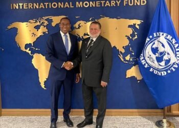 محافظ البنك المركزي المصري يلتقي نائب المدير العام لصندوق النقد الدولي