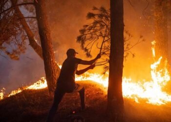 حرائق الغابات تقترب من آبار النفط الكندية وسط موجة حر شديدة