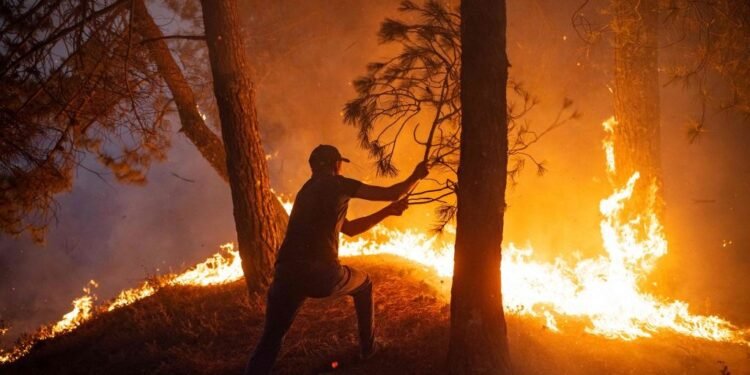 حرائق الغابات تقترب من آبار النفط الكندية وسط موجة حر شديدة