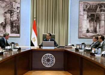 “فيزا” تقترح آلية جديدة لتسريع تحويلات المصريين بالخارج