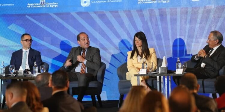 المالية: زيادة مساهمة القطاع الخاص فى  الاستثمارات ليصل إلى 60% في الفترة من يوليو إلى ديسمبر 2024