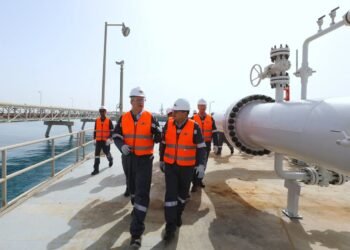 وزير البترول يتفقد استعدادات البنية التحتية بالسخنة لتأمين إمدادات الغاز خلال الصيف