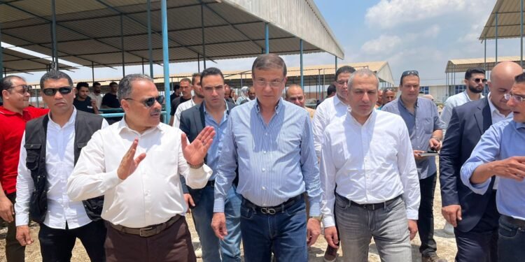 البنك الزراعي يمول شراء 2000 رأس ماشية بـ 395 مليون جنيه لصالح 188 من صغار المربين بالشرقية