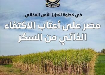 المركز الإعلامي لمجلس الوزراء: مصر على أعتاب الاكتفاء الذاتي من السكر