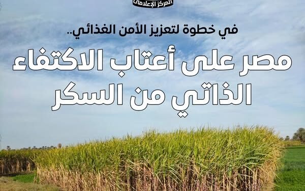 المركز الإعلامي لمجلس الوزراء: مصر على أعتاب الاكتفاء الذاتي من السكر