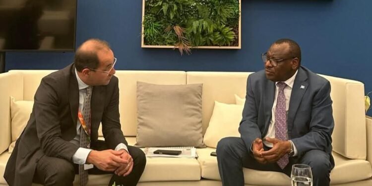 وزير المالية: التحول نحو الاقتصاد الأخضر والرقمي يتطلب آليات تمويلية مرنة ومستدامة