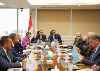 وزيرا الإسكان وقطاع الأعمال يبحثان مستجدات التعاون في تطوير عدد من الأصول وموقف المشروعات المشتركة