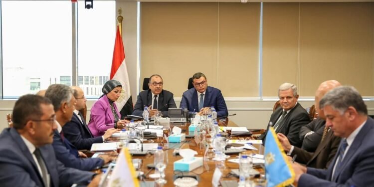 وزيرا الإسكان وقطاع الأعمال يبحثان مستجدات التعاون في تطوير عدد من الأصول وموقف المشروعات المشتركة