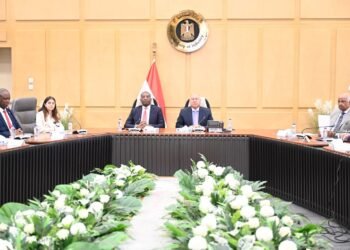 وزير الصناعة: الشركات المصرية مستعدة لتنفيذ مشروعات عملاقة بالكونغو