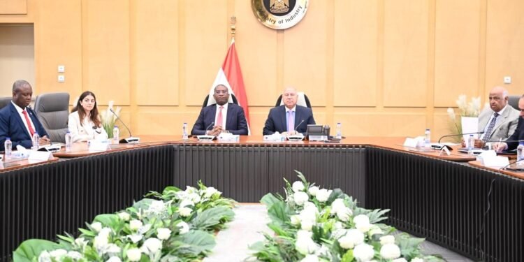 وزير الصناعة: الشركات المصرية مستعدة لتنفيذ مشروعات عملاقة بالكونغو