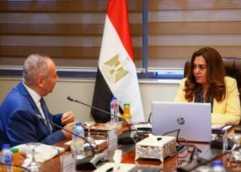 وزيرة التنمية المحلية تتابع إعداد استراتيجية الوزارة وتكاملها مع رؤية مصر 2030 وتغير المناخ