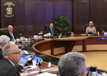 الحكومة : تخصيص أراضٍ بالدولار في 13 مدينة جديدة لتنفيذ مشروعات متنوعة