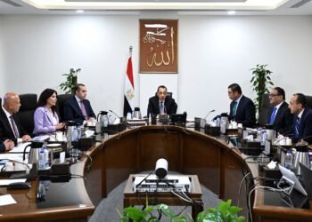 رئيس الوزراء يستعرض آليات تنفيذ مشروعات الكهرباء بالمدن الجديدة بنظام المشاركة مع القطاع الخاص