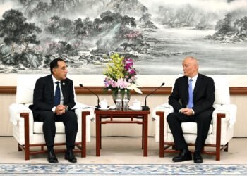 مدبولي يدعو الشركات الصينية للاستثمار في صناعة السيارات الكهربائية والتعاون فى مجال تحلية المياه