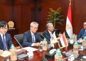 الاستثمار: خفض زمن الإفراج الجمركي ليومين ضمن جهود مصر لتعزيز التجارة مع كوريا