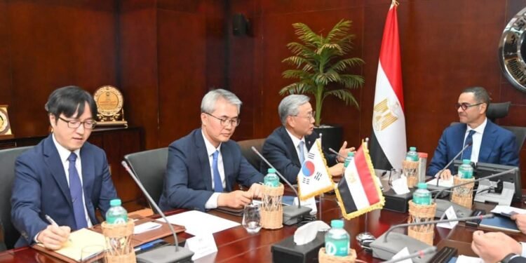 الاستثمار: خفض زمن الإفراج الجمركي ليومين ضمن جهود مصر لتعزيز التجارة مع كوريا