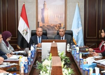 وزارة الصناعة تستعد لطرح أراضٍ صناعية جديدة عبر منصة مصر الرقمية مطلع سبتمبر