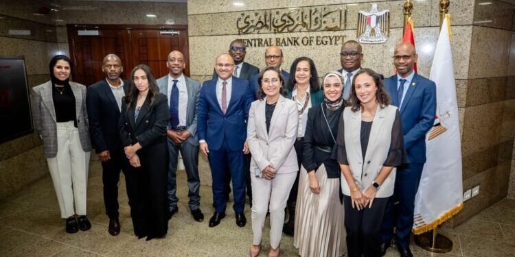 البنك المركزي المصري يقود أول اجتماع لمجموعة عمل تقرير الاستقرار المالي الإفريقي بالقاهرة