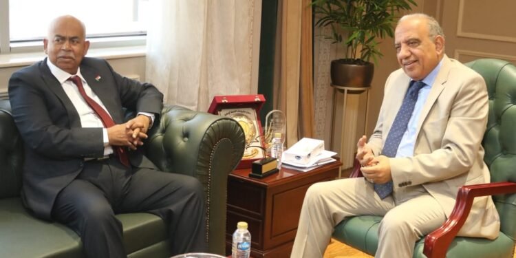 وزير الكهرباء : تنفيذ المرحلة الثانية من خط الربط الكهربائي المصري السوداني بقدرة 300 ميجاوات