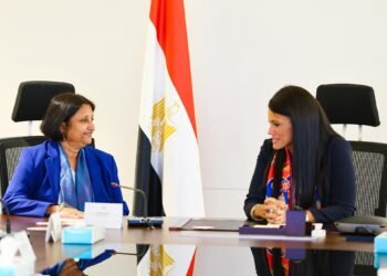 المشاط: 1.16 تريليون جنيه سقف الاستثمارات العامة للعام المالي الجاري للحفاظ على استقرار الاقتصاد الكلي