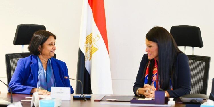 المشاط: 1.16 تريليون جنيه سقف الاستثمارات العامة للعام المالي الجاري للحفاظ على استقرار الاقتصاد الكلي