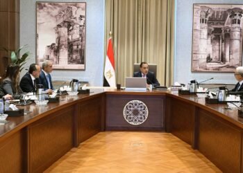 اللجنة الاستشارية: الاقتصاد المصري يتعافى تدريجيًا وتقارير فيتش تؤكد تحسن المؤشرات خلال 2025 و2026