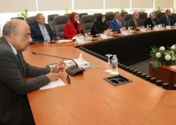 الكهرباء تضع خطة زمنية لفض التشابكات وتحديد الاختصاصات بين شركات الإنتاج والنقل والتوزيع