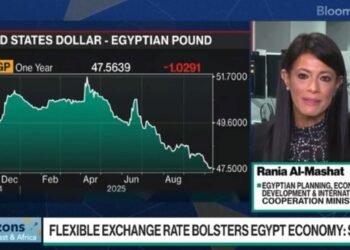وزيرة التخطيط: عام 2026 سيكون نقطة تحول للاقتصاد المصري مع استمرار الإصلاحات الهيكلية