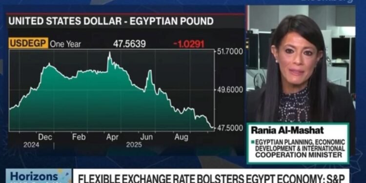 وزيرة التخطيط: عام 2026 سيكون نقطة تحول للاقتصاد المصري مع استمرار الإصلاحات الهيكلية