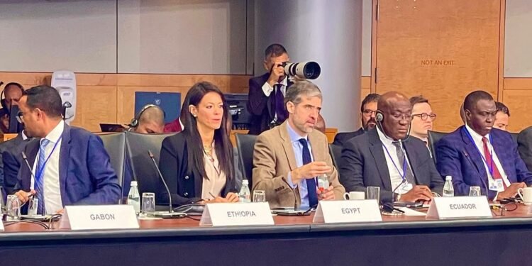 المشاط: أكثر من 250 إصلاحًا هيكليًا لتعزيز القدرة على الصمود وتمكين القطاع الخاص