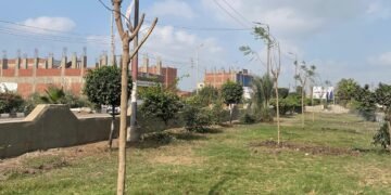 د.منال عوض: البدء في زراعة 970 شجرة متنوعة بعدد من المحاور والطرق الرئيسية