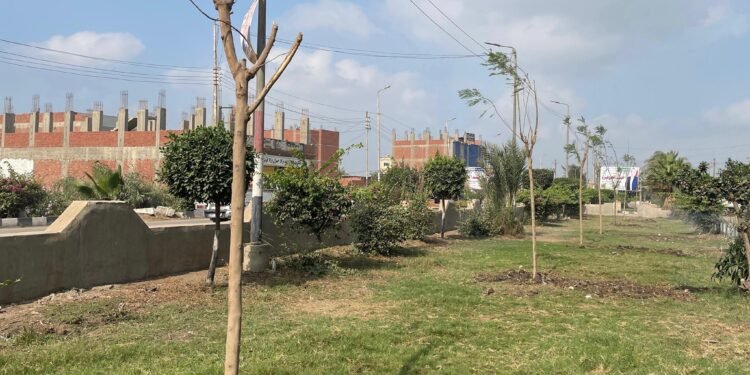 د.منال عوض: البدء في زراعة 970 شجرة متنوعة بعدد من المحاور والطرق الرئيسية