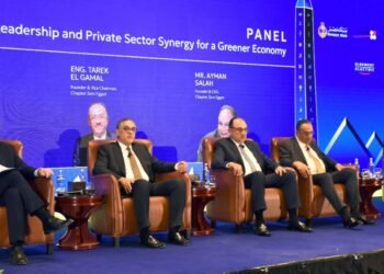 مصر تبدأ إنتاج الألواح الشمسية بنسبة مكون محلي 90% مطلع 2026