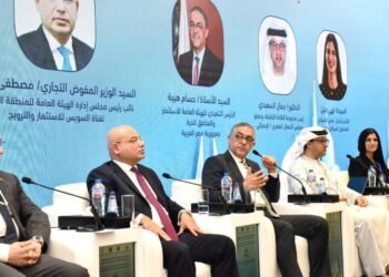 حسام هيبة: مصر تستهدف أن تصبح المركز الإقليمي للطاقة والسياحة والصناعة