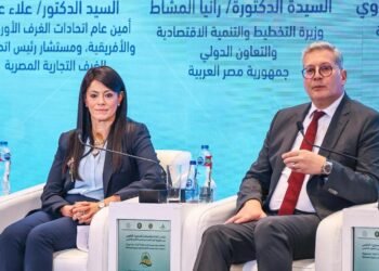 التخطيط :  16 مليار دولار تمويلات ميسرة للقطاع الخاص منذ 2020 بفضل شراكات التنمية الدولية