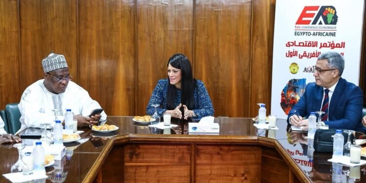 المشاط: القطاع الخاص المصري شريك رئيسي في تنمية دول القارة