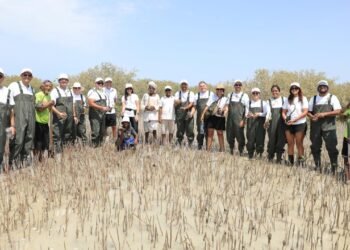 توتال إنرجيز للتسويق إيجيبت تزرع 1000 شجرة مانغروف في مرسى علم دعمًا للاستدامة البيئية