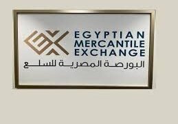 البورصة السلعية تطرح القطن لأول مرة قبل نهاية 2025